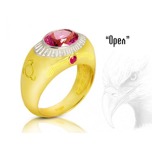 _________________509287860f2e8-500x500